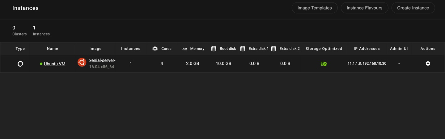 VM initial state before adding a new extra disk